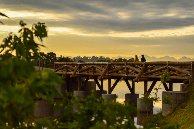 Foto: Prefeitura de Pinhais/ Divulgação