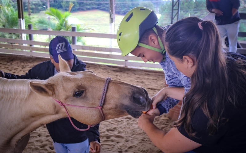Cavalos do bem em Quatro Barras